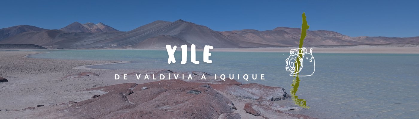 Etapa destacada - Etapa 4: De Valdívia a Iquique