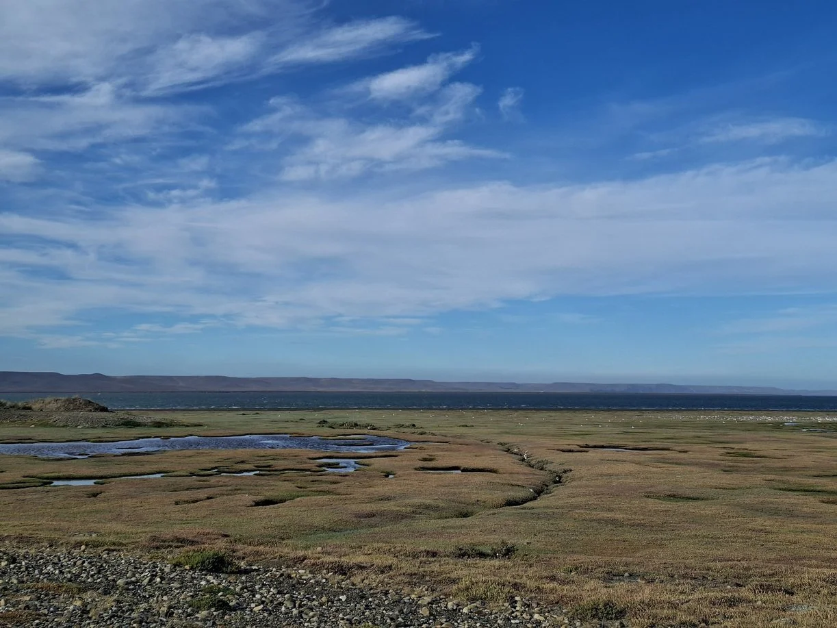 En la imatge es veu el paisatge de Río Gallegos: una marisma amb la seva vegetació que s'estén fins al riu. Al fons, es veuen unes petites muntanyes.