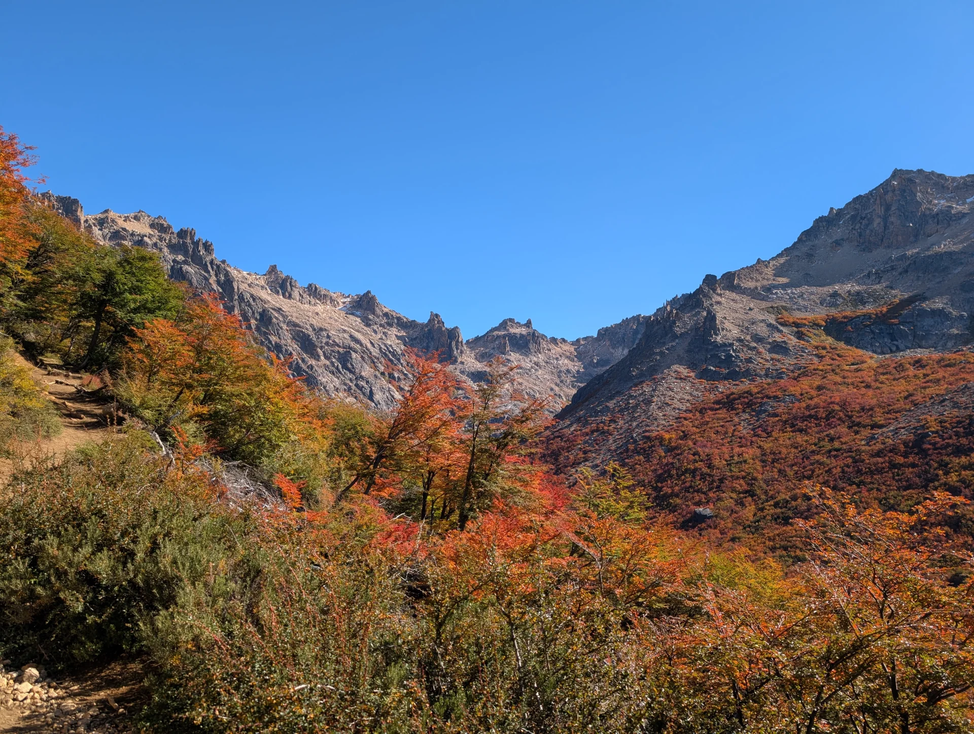 En la imatge s’hi observa el paisatge de camí cap al refugi Frey. Es veuen unes muntanyes rocoses, amb arbres de colors vermells, taronges i verds.