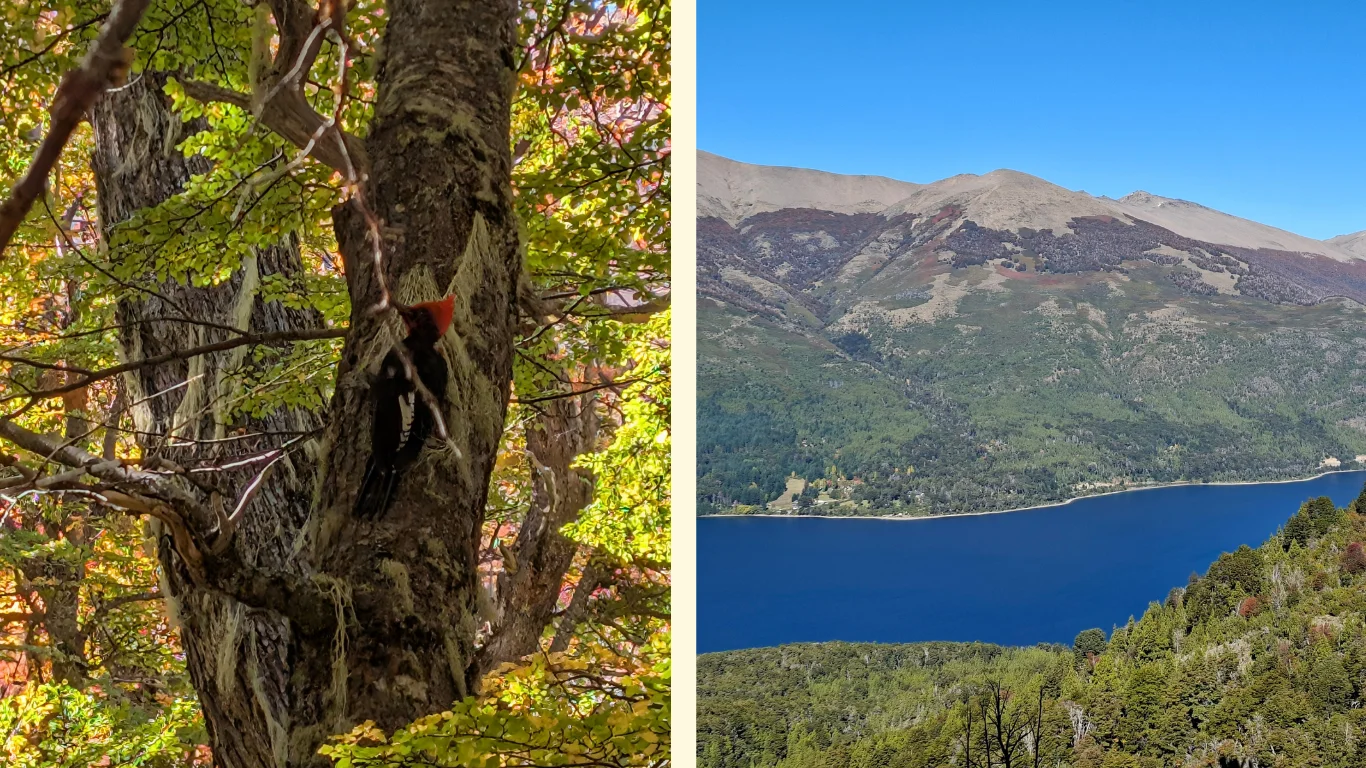 En la imatge s’hi observen dues fotografies. A la de l’esquerra es veu el picot, amb una cresta vermella que el fa destacar. A la de la dreta, el paisatge de retorn de la senda: un llac entre muntanyes.
