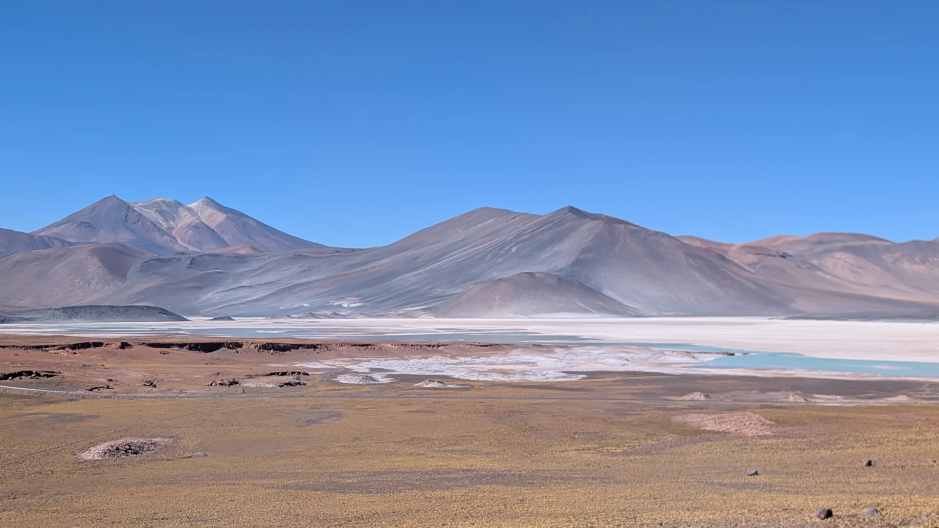 Un paisatge panoràmic de l'altiplà d'Atacama amb una llacuna d'aigua de color turquesa intens a la dreta, envoltada per una vasta extensió de salar blanc. Al primer pla, hi ha vegetació baixa i seca de tons daurats, i al fons, una serralada de muntanyes pelades amb matisos grisos i marrons sota un cel blau brillant i totalment clar.