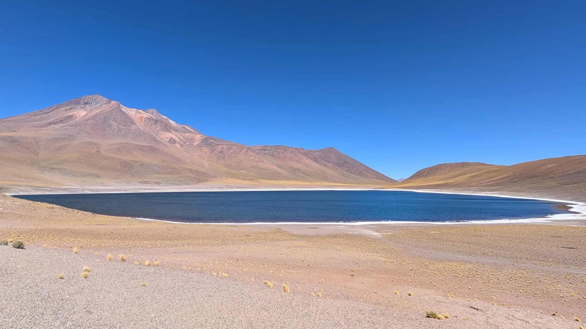 Una de les llacunes altiplàniques del desert d'Atacama, amb aigües d'un color blau fosc intens envoltades per una línia blanca de sal a la vora. Al primer pla hi ha un terreny àrid de sorra i graves amb petites herbes grogues disperses, i al fons s'aixequen grans muntanyes de tons marrons i rogencs sota un cel completament blau i lliure de núvols.
