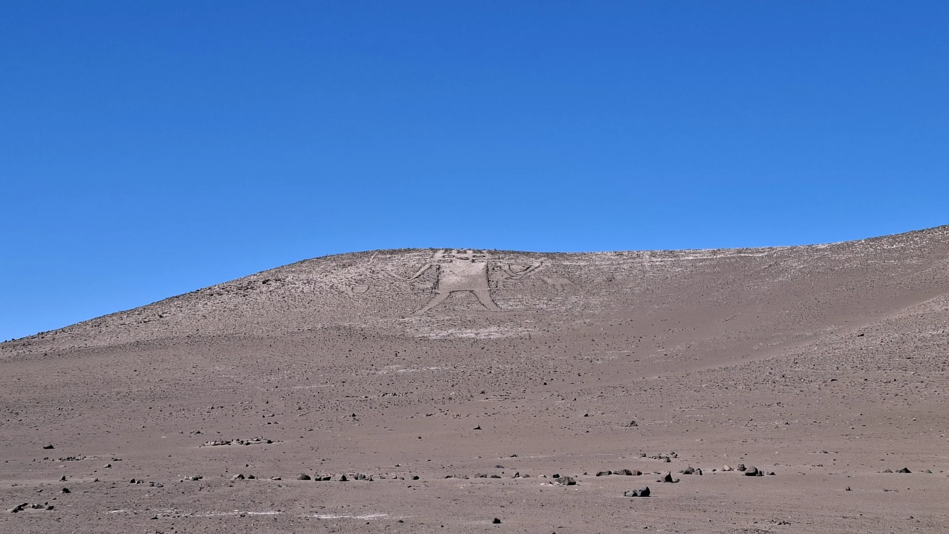 El gran geòglif del Gegant d'Atacama traçat sobre la sorra clara del vessant d'un turó desèrtic de color marró. S'aprecia de lluny la silueta de la figura humana estilitzada i mística a la part superior de la muntanya, sota un cel completament blau intens i net.