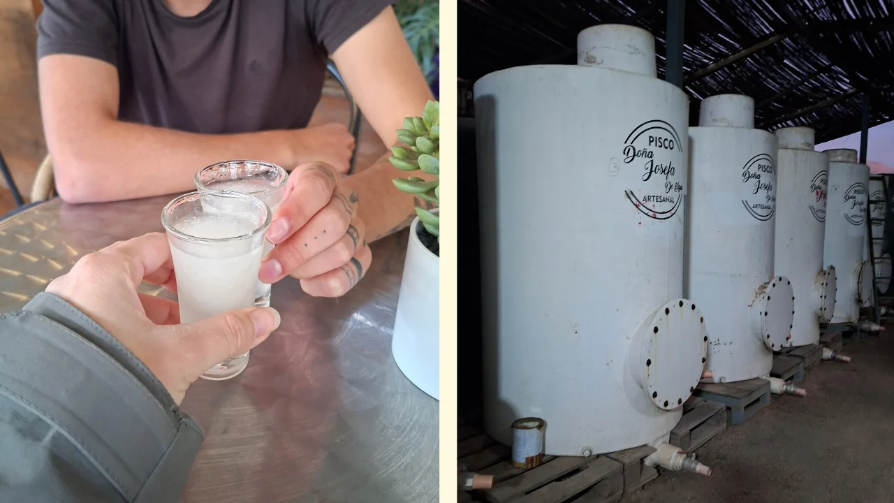 Una composició d'imatges que mostra dues persones fent un brindis amb pisco sour a l'esquerra, i a la dreta grans tancs de fermentació blancs a l'interior de la pisquera artesanal Doña Josefa.