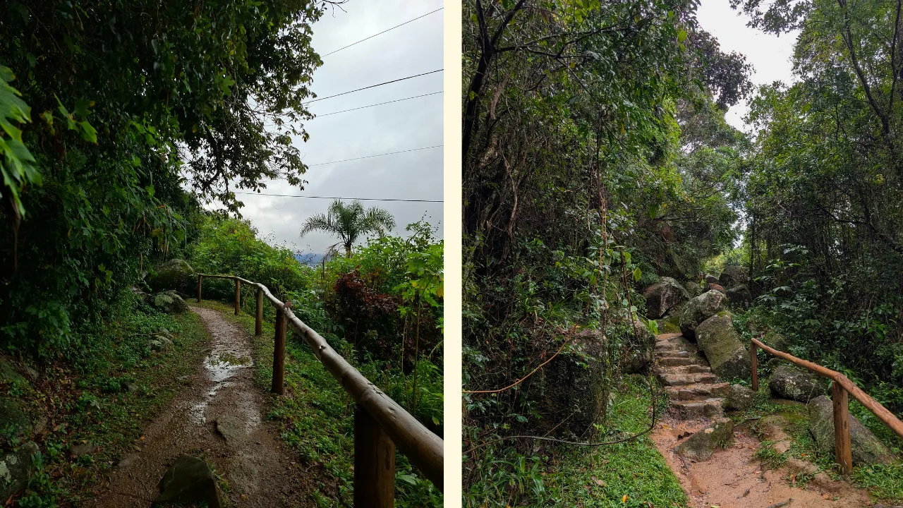 Una composició fotogràfica composta per dues imatges que mostra un camí de bosc tropical dens i exuberant per la Costa da Lagoa a l'illa de Florianópolis, que serpenteja a través de la selva en un dia plujós sota un cel gris, amb un sender humit a l'esquerra i unes escales de pedra a la dreta.