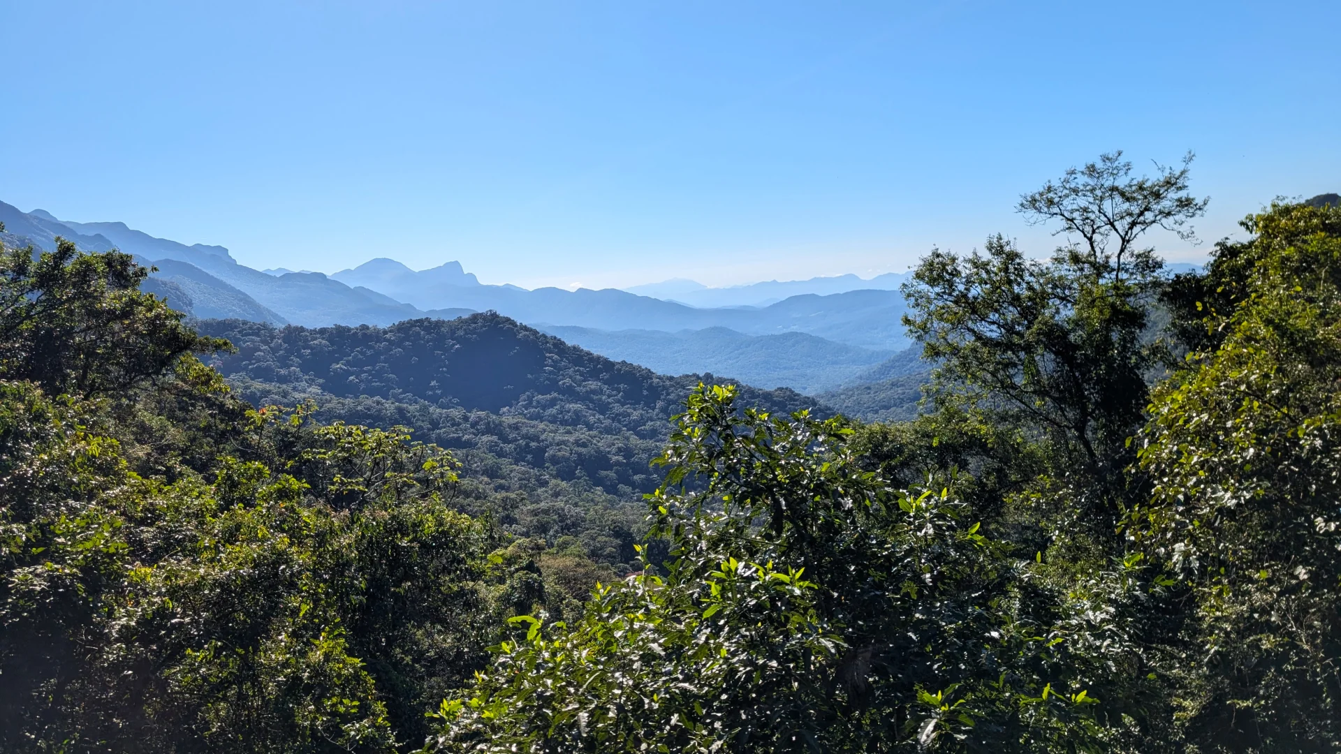 Vista panoràmica de la Serra do Mar amb la frondosa vegetació tropical en primer pla i cadenes de muntanyes al fons que es van difuminant en tons blaus cap a l'horitzó.
