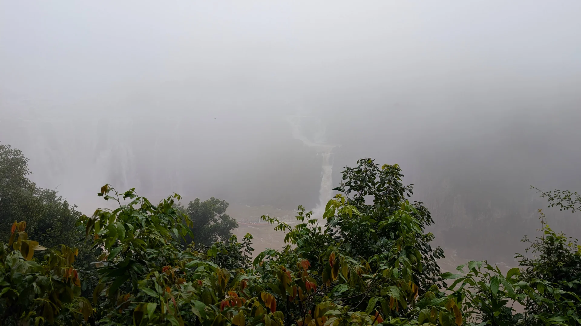 Vista emboirada de les cascades a la distància entre les fulles verdes de la selva, on l'aigua caient amb força es deixa intuir amb prou feines entre l'espessa capa de boira.