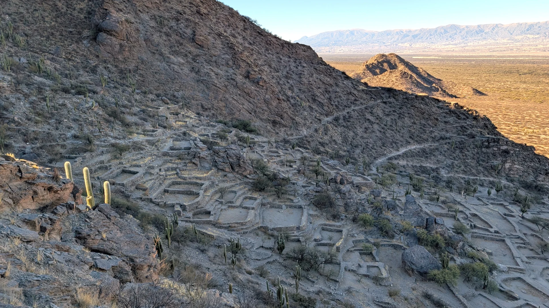 Vista en perspectiva des del vessant muntanyós de les Ruïnes de Quilmes, mostrant els nombrosos recintes i terrasses de pedra del poblat prehispànic esglaonats sobre el turó rocós entre cactus cardons, amb la vasta plana vallenca il·luminada pel sol de fons.