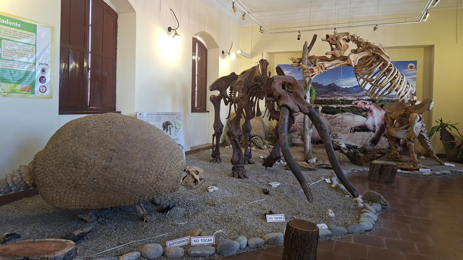 Sala d'exposició del Museu Paleontològic i Arqueològic de Tarija, amb fòssils i esquelets reconstruïts de megafauna prehistòrica sobre una base de grava, destacant la closca d'un gliptodont en primer pla a l'esquerra, un mastodont o gonfoterí al centre i un peresós gegant dret a la dreta.