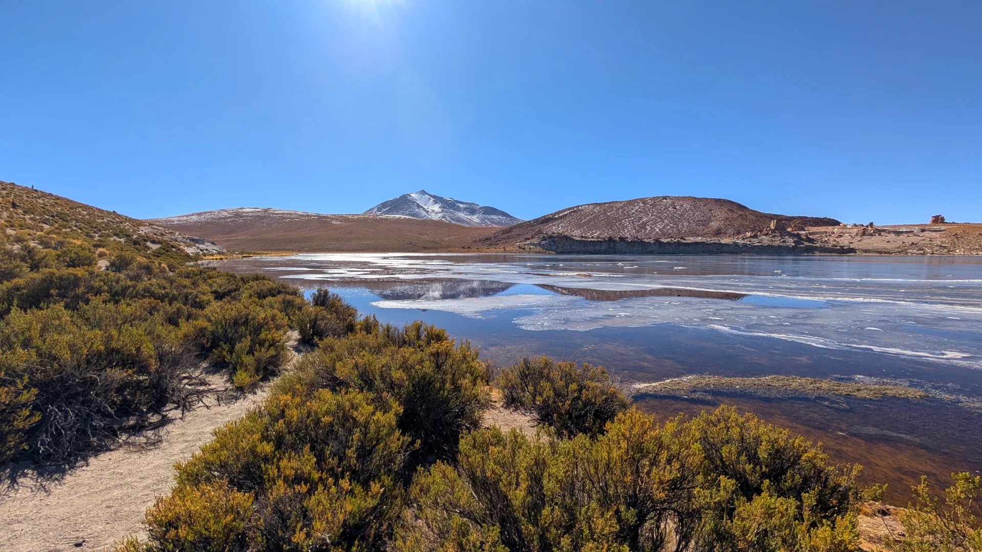 Vista panoràmica de la Laguna Negra a l'altiplà bolivià, amb aigües fosques cobertes parcialment per una capa de gel i gebre a les vores, matolls andins en primer pla i muntanyes amb cims nevats al fons sota un cel blau net.